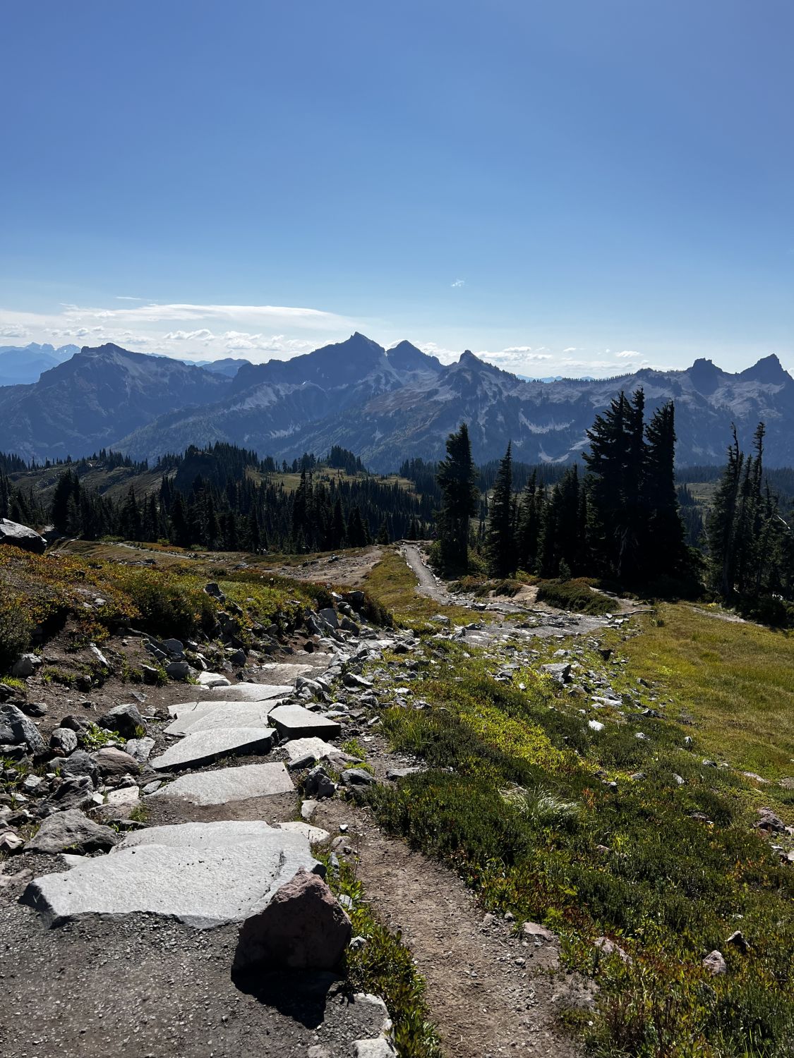 Mount Rainier NP 